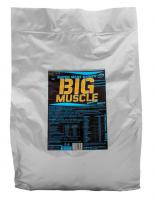 Big Muscle Ev bag.jpg